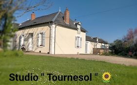 studio  tournesol  au coeur du Berry