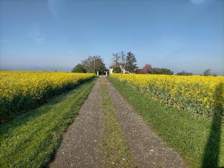studio  tournesol  au coeur du Berry Les Bordes Extérieur photo